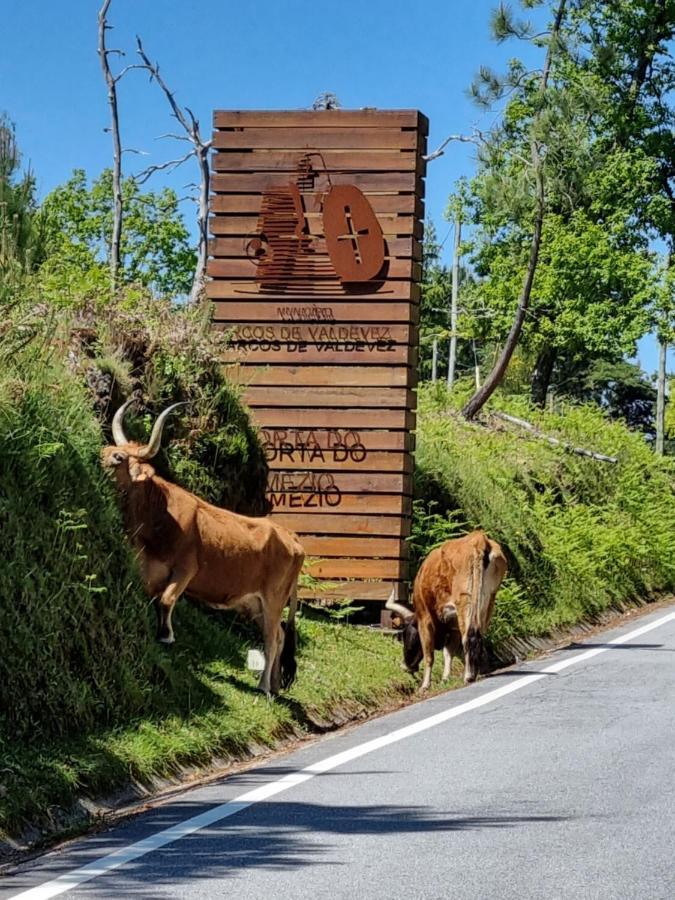 Casa Da Mimi Βίλα Soajo Εξωτερικό φωτογραφία